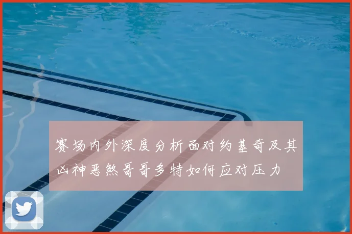 赛场内外深度分析面对约基奇及其凶神恶煞哥哥多特如何应对压力