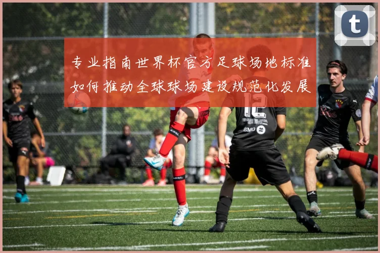 专业指南世界杯官方足球场地标准如何推动全球球场建设规范化发展