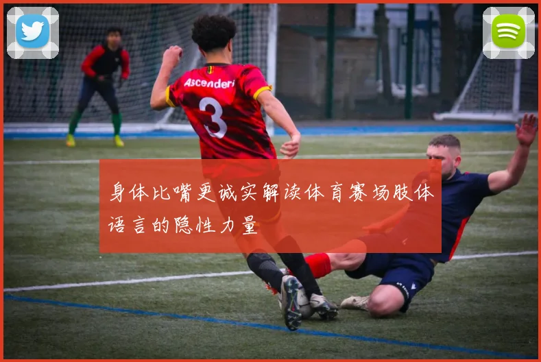 身体比嘴更诚实解读体育赛场肢体语言的隐性力量