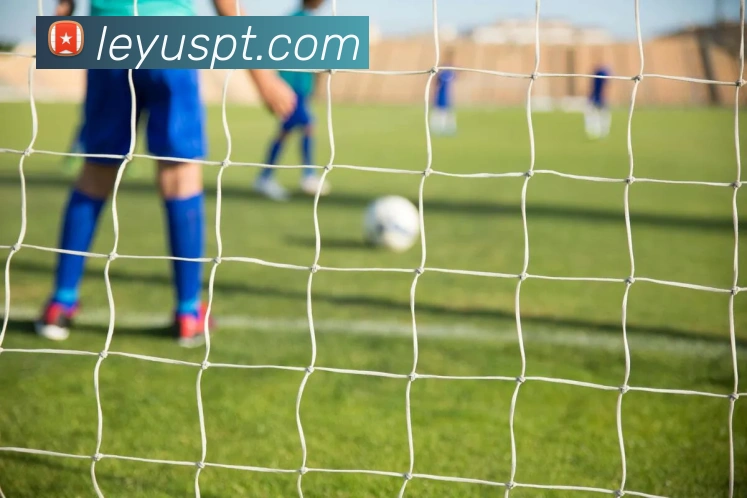 乐鱼体育品牌故事