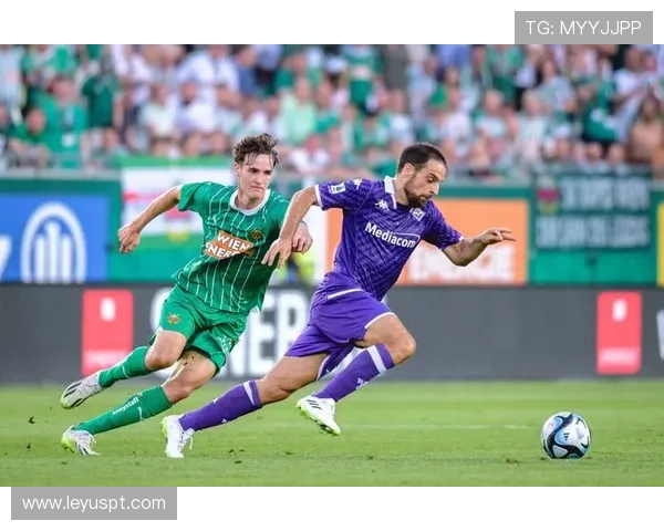 意甲减少球队：探讨意甲减少球队数量的影响与可能性